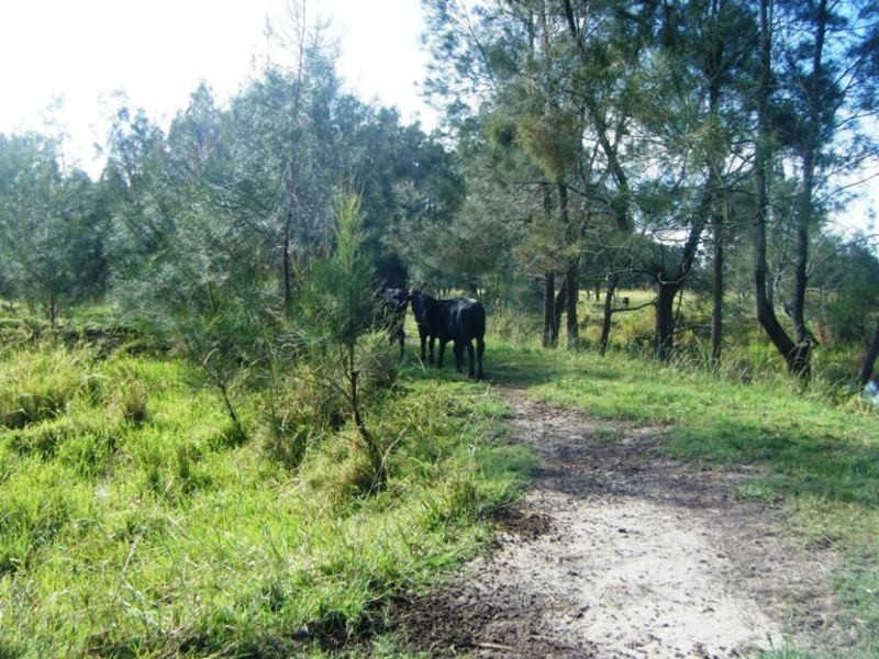 Micalo Island NSW 2464