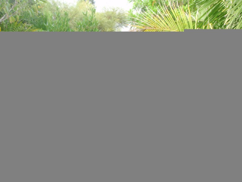 Palmers Island NSW 2463