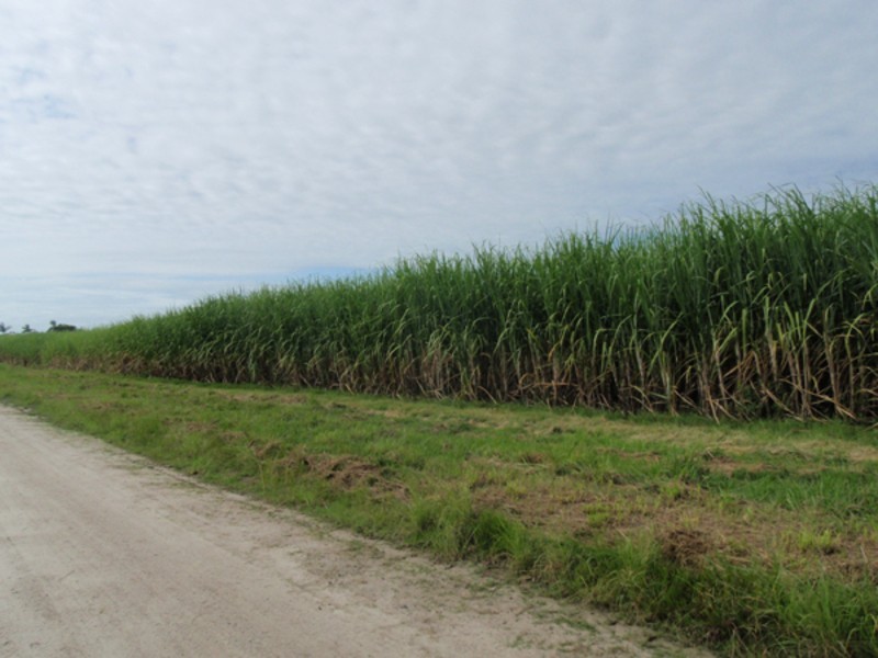 Palmers Island NSW 2463