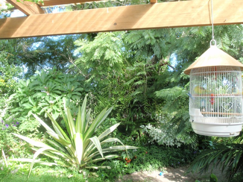 Palmers Island NSW 2463