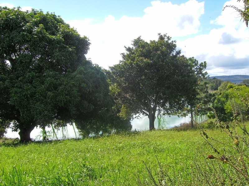 Lawrence NSW 2460