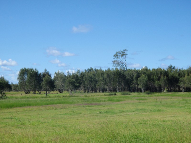 Palmers Channel NSW 2463