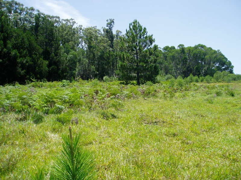 21 Jubilee Street, Townsend NSW 2463