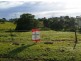 Lawrence NSW 2460