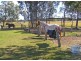 Tucabia NSW 2462
