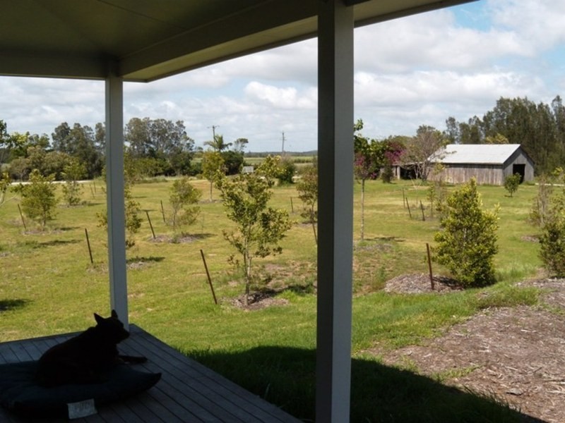 Palmers Island NSW 2463
