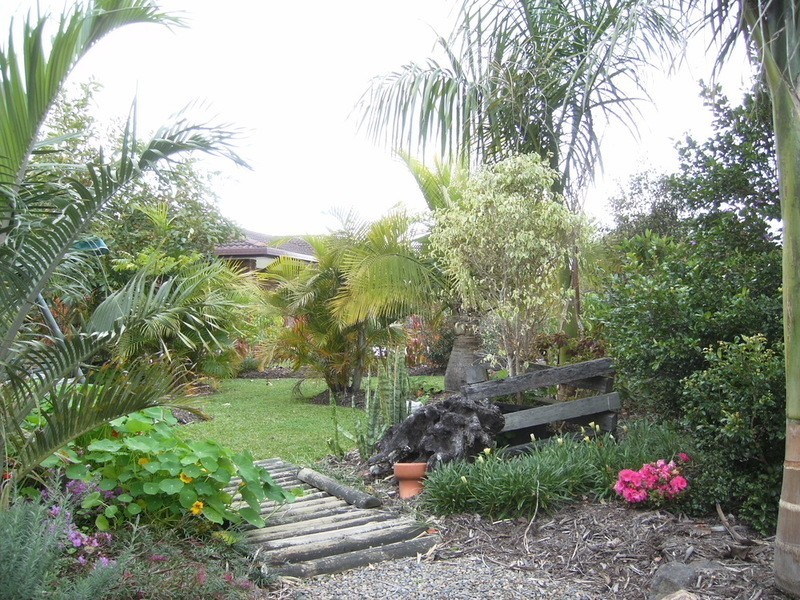Lawrence NSW 2460