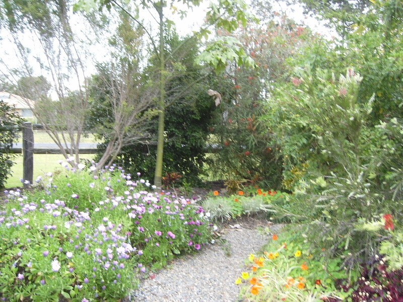 Lawrence NSW 2460