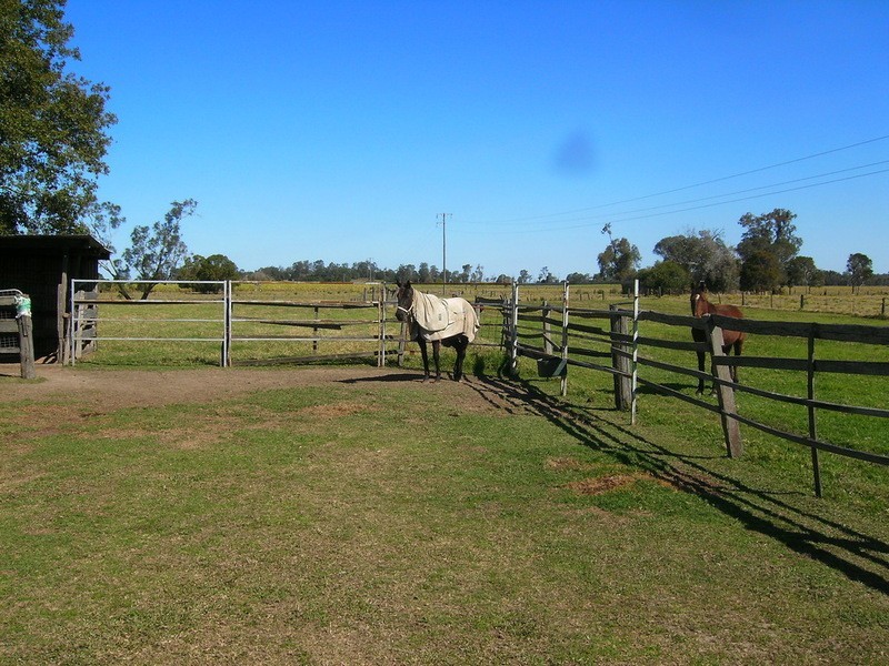 Lower Southgate NSW 2460
