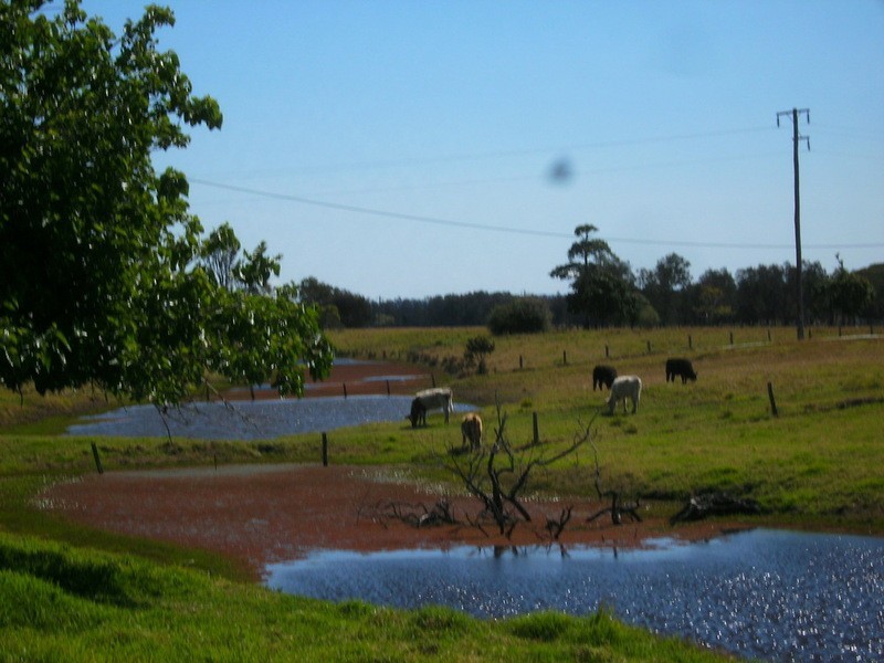 Lower Southgate NSW 2460