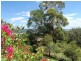 Maclean NSW 2463