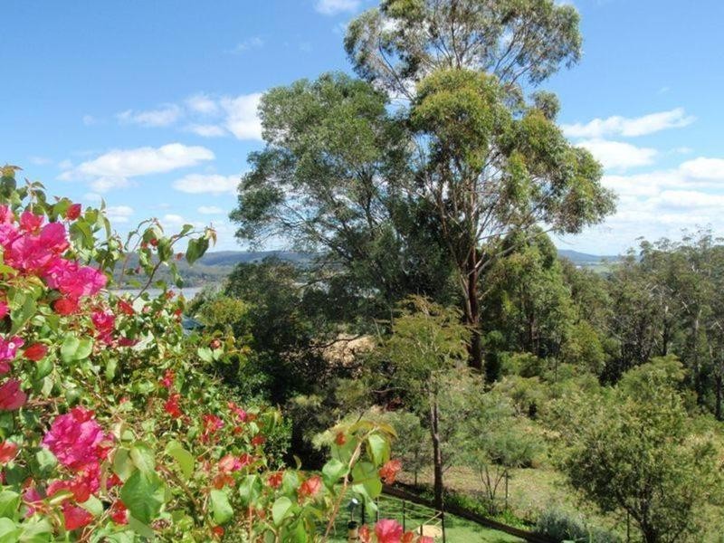 Maclean NSW 2463