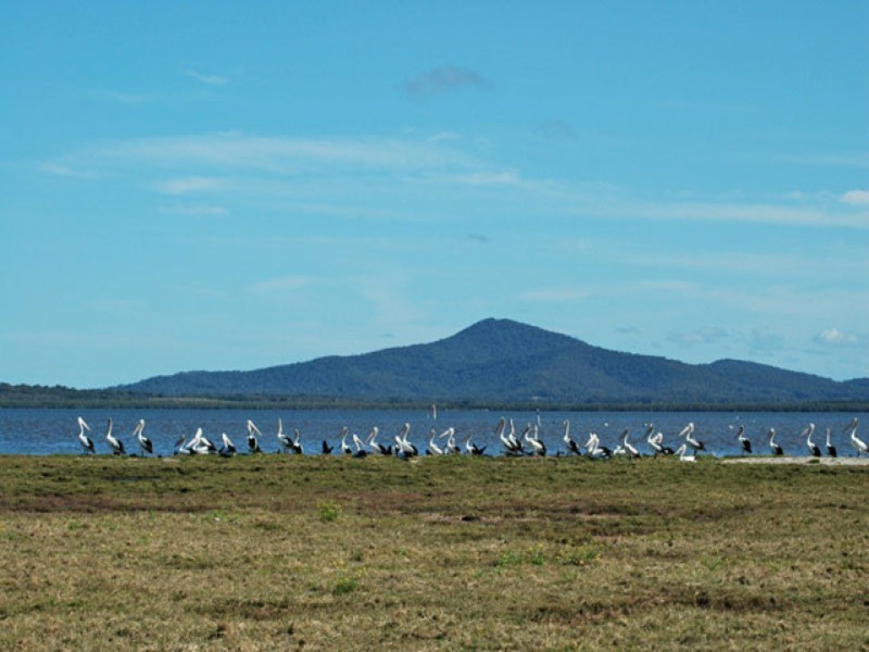 Yamba NSW 2464