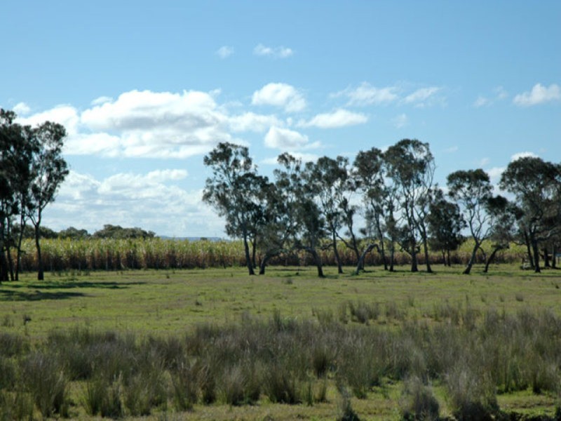 Yamba NSW 2464