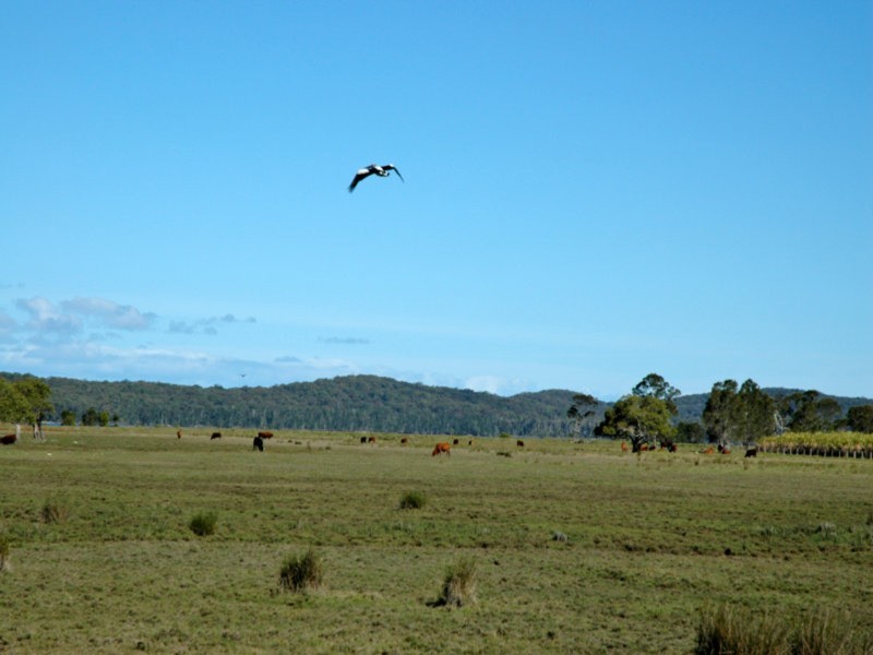 Yamba NSW 2464