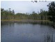 Tullymorgan NSW 2463