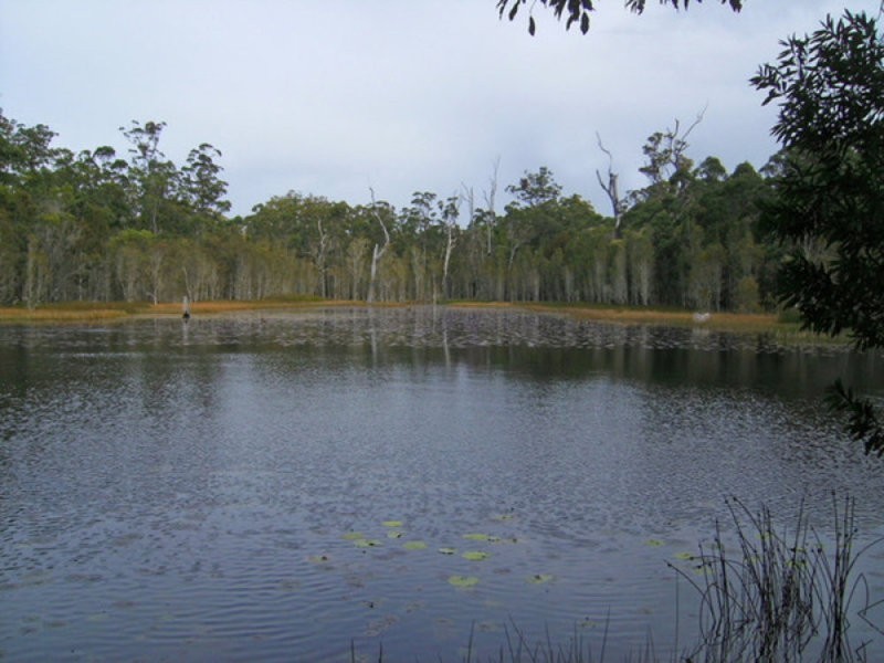 Tullymorgan NSW 2463