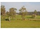 3 Vivian Street, Lawrence NSW 2460
