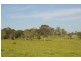 3 Vivian Street, Lawrence NSW 2460