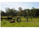 3 Vivian Street, Lawrence NSW 2460