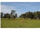3 Vivian Street, Lawrence NSW 2460