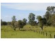 3 Vivian Street, Lawrence NSW 2460