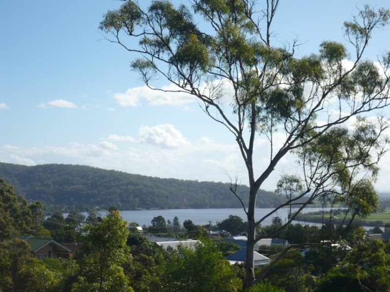 Maclean NSW 2463
