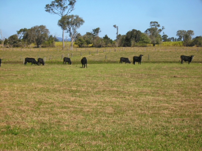 2535 Lawrence Road, Lower Southgate NSW 2460