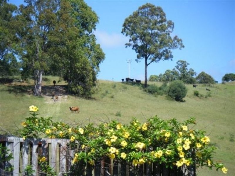 Tullymorgan NSW 2463