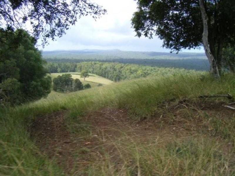 Tullymorgan NSW 2463