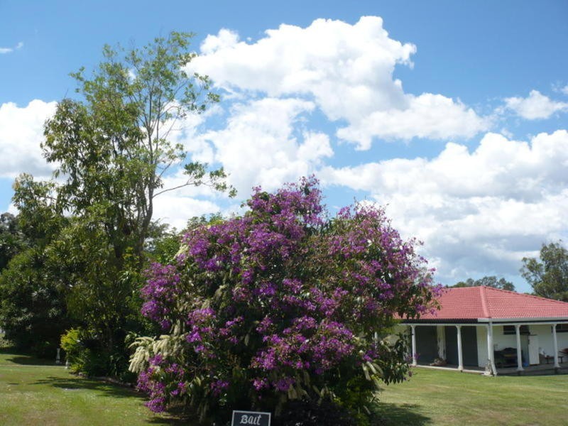 64 Jubilee Street, Townsend NSW 2463