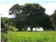Lawrence NSW 2460