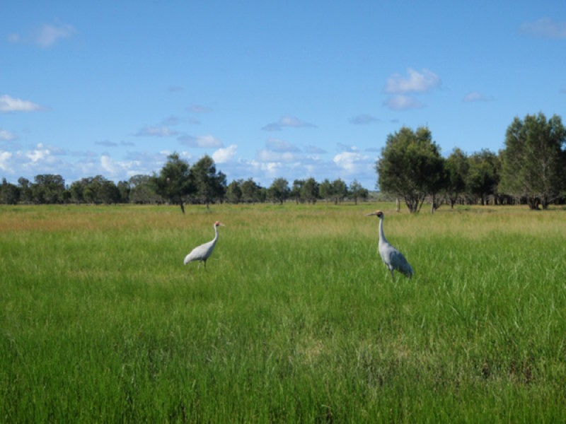 Palmers Channel NSW 2463