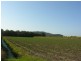 Ashby NSW 2463