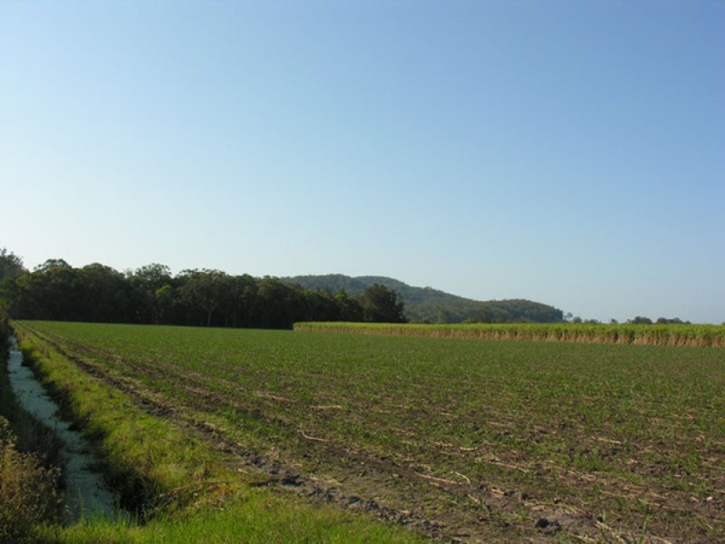 Ashby NSW 2463