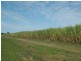 Brushgrove NSW 2460