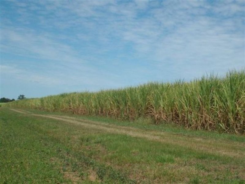 Brushgrove NSW 2460