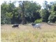 Lot 58 Ryans Gully Lane, Eatonsville NSW 2460