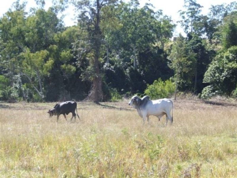 Lot 58 Ryans Gully Lane, Eatonsville NSW 2460