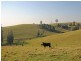 Tullymorgan NSW 2463