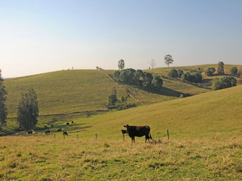 Tullymorgan NSW 2463