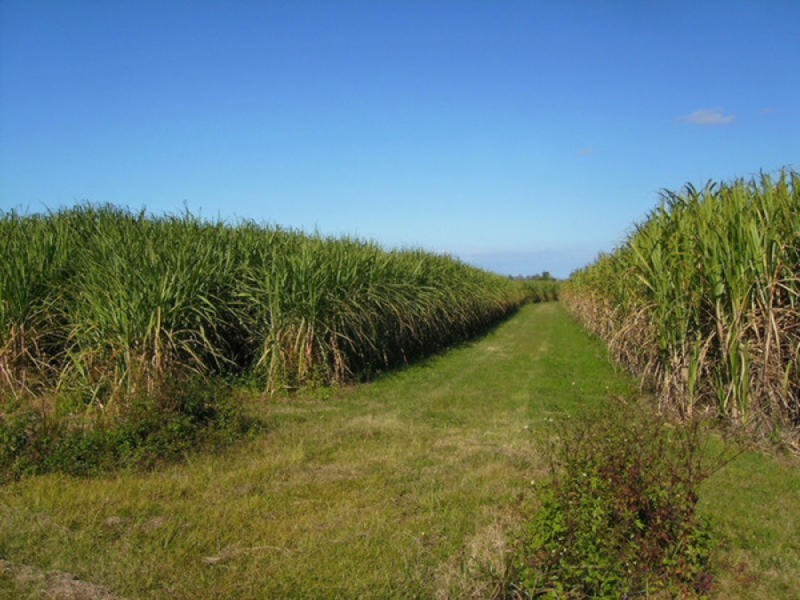 337 South Bank Road, Palmers Island NSW 2463