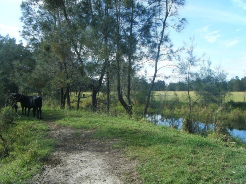 Lot 5 Micalo Road, Micalo Island NSW 2464