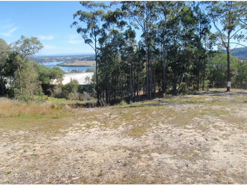 Maclean NSW 2463