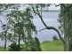 Wooloweyah NSW 2464