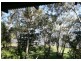 Wooloweyah NSW 2464