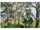 Wooloweyah NSW 2464