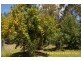 235 Anne Street, Lawrence NSW 2460