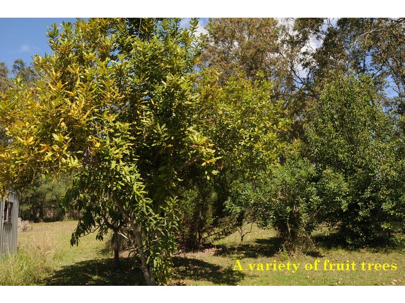 235 Anne Street, Lawrence NSW 2460