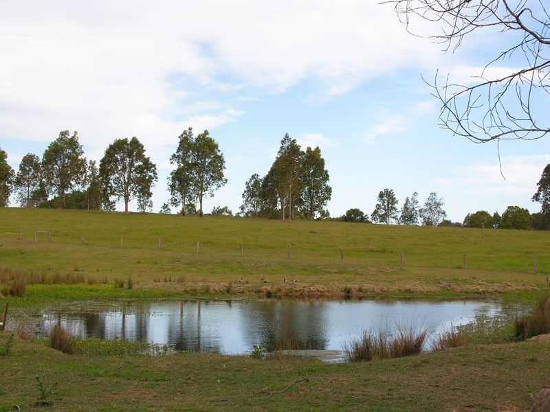 3572 Pringles Way, Lawrence NSW 2460